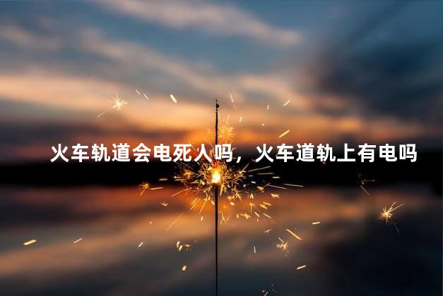 火车轨道会电死人吗，火车道轨上有电吗