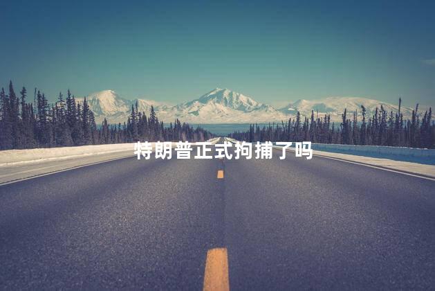 特朗普正式拘捕了吗，特朗普逮捕了吗