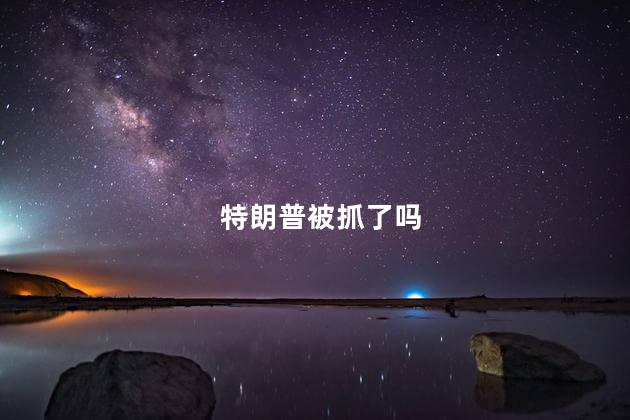 特朗普被抓了吗，特朗普会被抓吗