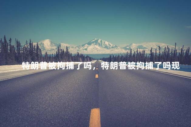 特朗普被拘捕了吗，特朗普被拘捕了吗现在