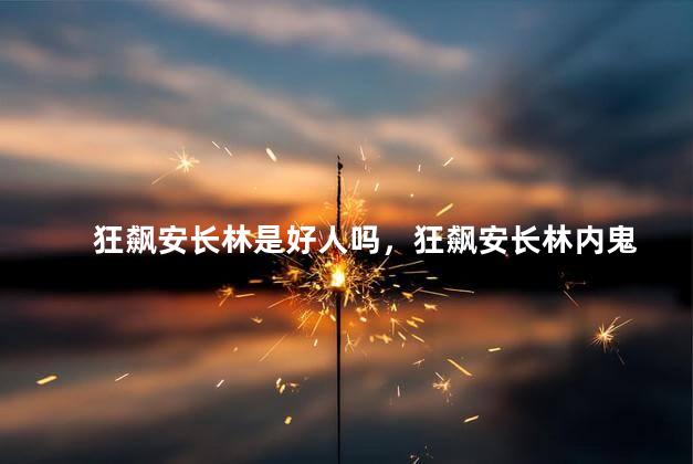 狂飙安长林是好人吗，狂飙安长林内鬼