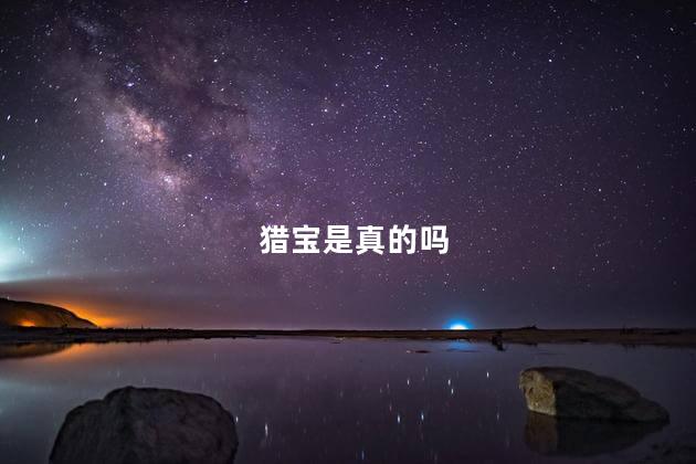 猎宝是真的吗