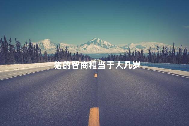 猪的智商相当于人几岁，猪的智商有多高?