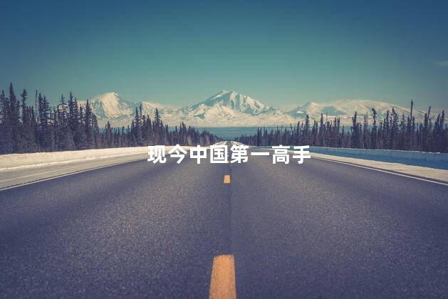 现今中国第一高手，中国第一高手是谁