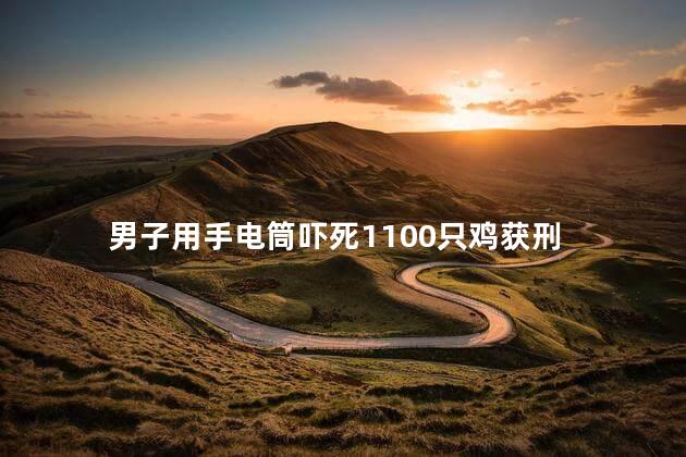 男子用手电筒吓死1100只鸡获刑