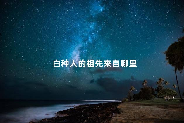 白种人的祖先来自哪里，白种人祖先从哪里来的?