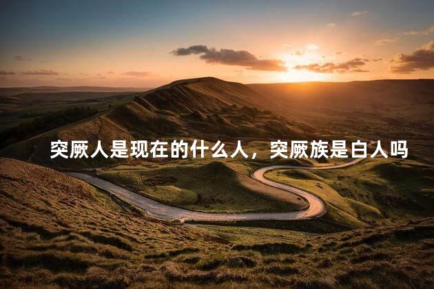 突厥人是现在的什么人，突厥族是白人吗