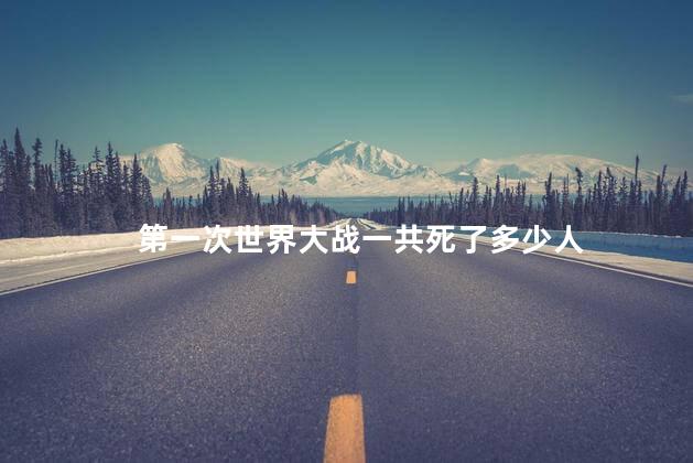 第一次世界大战一共死了多少人，一战有多惨烈	