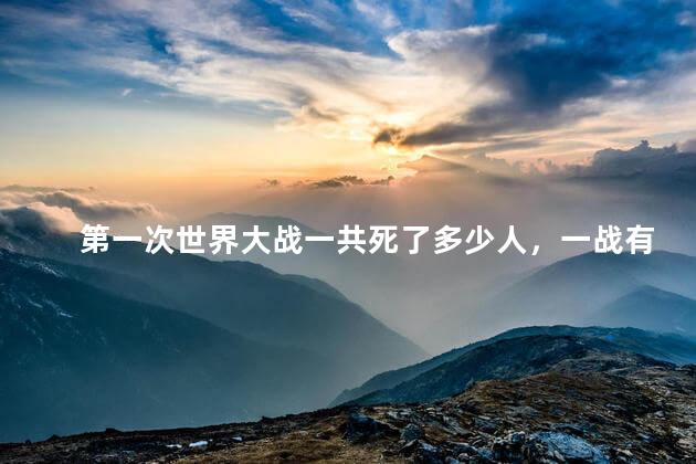 第一次世界大战一共死了多少人，一战有多惨烈	
