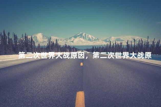 第二次世界大战原因，第二次世界大战原因和导火线