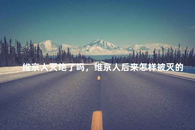维京人灭绝了吗，维京人后来怎样被灭的
