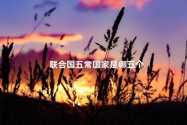 联合国五常国家是哪五个，联合国五常国家有什么用