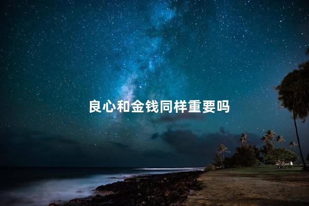 良心和金钱同样重要吗