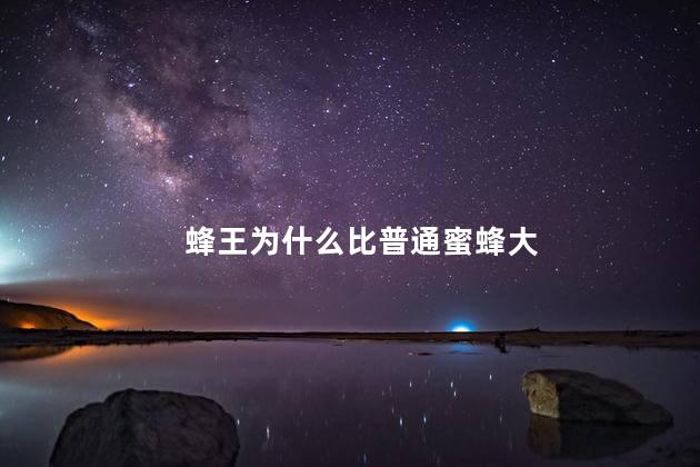 蜂王为什么比普通蜜蜂大，为什么蜂王比其它蜂大