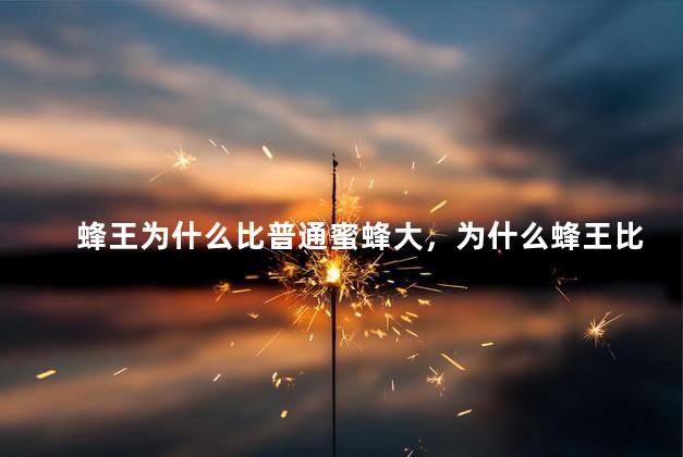 蜂王为什么比普通蜜蜂大，为什么蜂王比其它蜂大