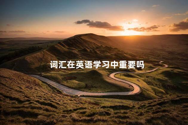 词汇在英语学习中重要吗