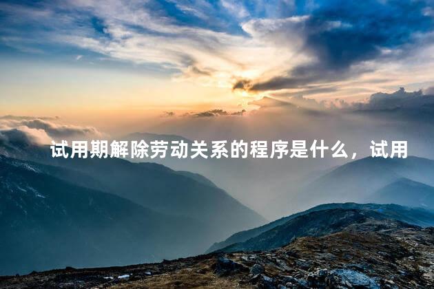 试用期解除劳动关系的程序是什么，试用期解除劳动关系程序是怎样的