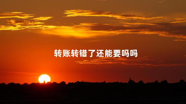 转账转错了还能要吗吗