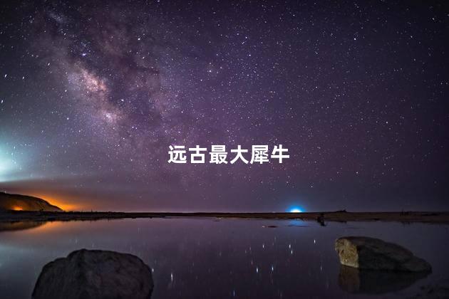 远古最大犀牛，远古最大的犀牛