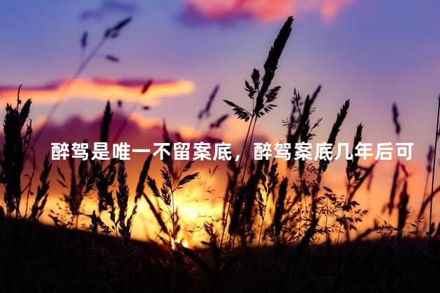 醉驾是唯一不留案底，醉驾案底几年后可消除