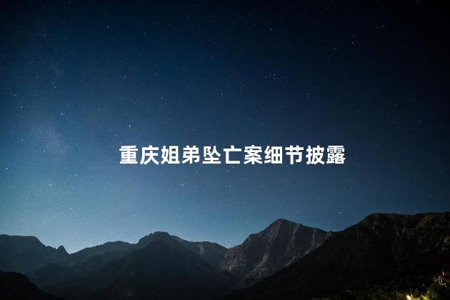 重庆姐弟坠亡案细节披露