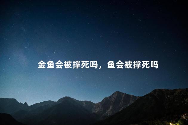金鱼会被撑死吗，鱼会被撑死吗