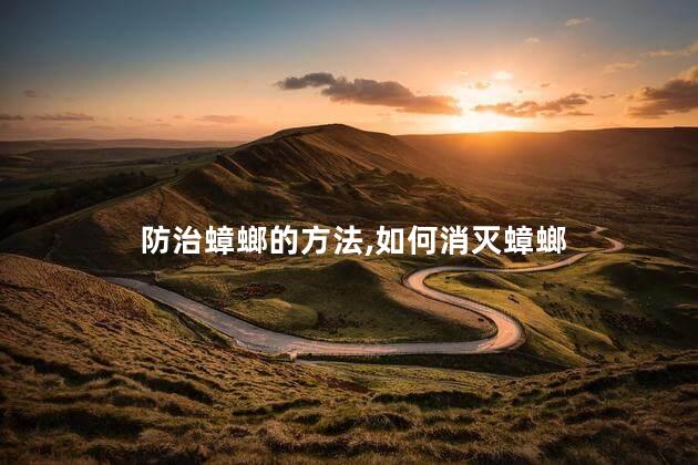 防治蟑螂的方法，如何消灭蟑螂