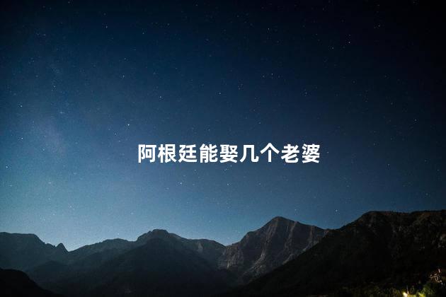 阿根廷能娶几个老婆，阿根廷可以一夫多妻么