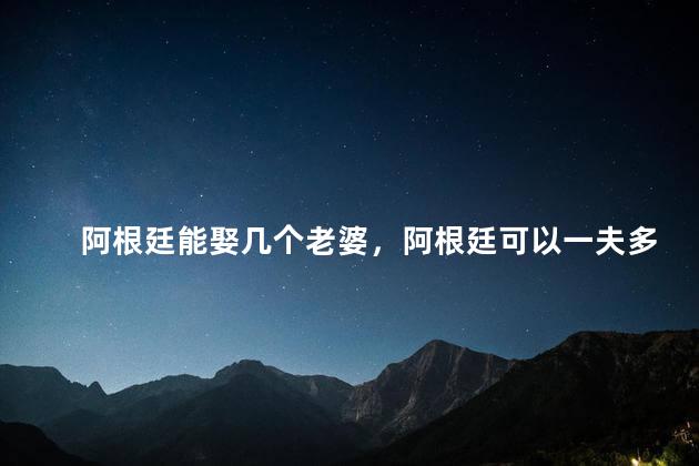 阿根廷能娶几个老婆，阿根廷可以一夫多妻么