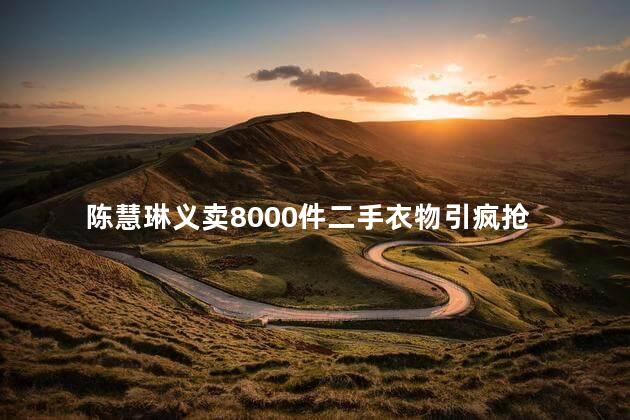 陈慧琳义卖8000件二手衣物引疯抢