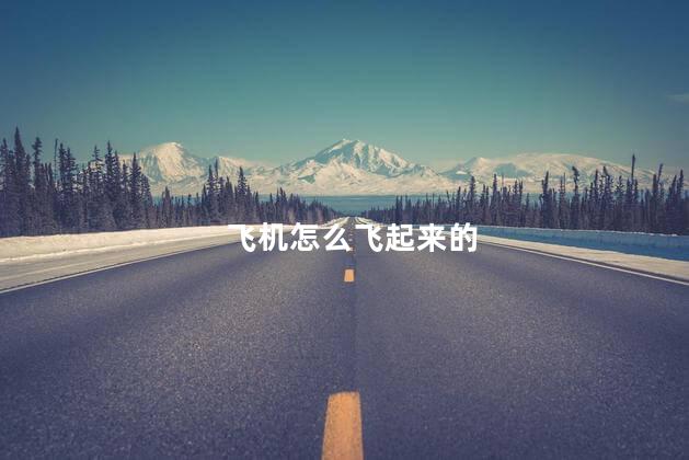 飞机怎么飞起来的，飞机怎么飞起来的原理
