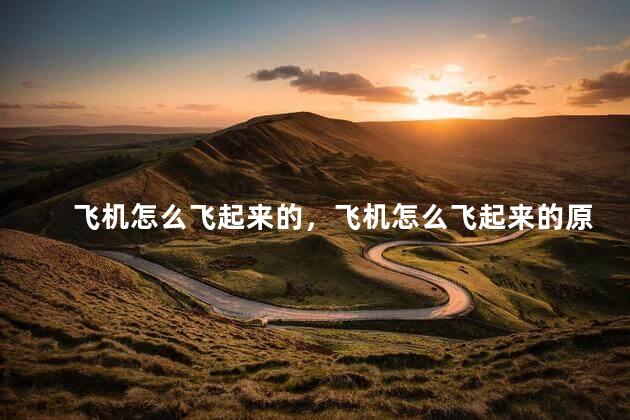 飞机怎么飞起来的，飞机怎么飞起来的原理
