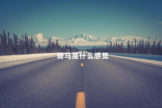 骑马是什么感觉，骑马是啥感觉