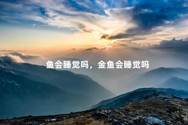鱼会睡觉吗，金鱼会睡觉吗