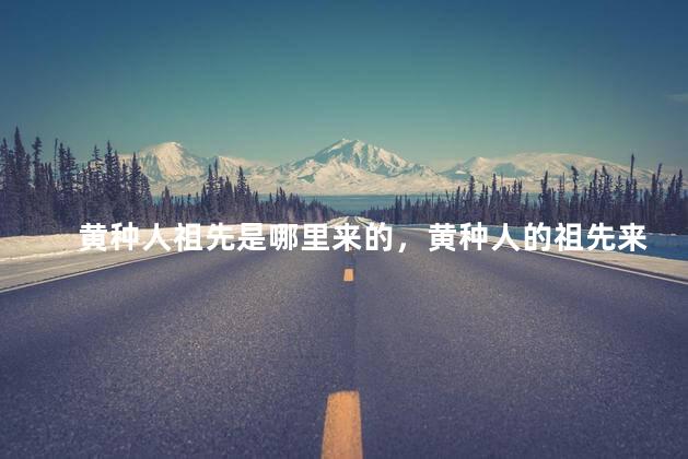 黄种人祖先是哪里来的，黄种人的祖先来自哪里人