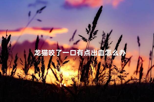 龙猫咬了一口有点出血怎么办，被家养龙猫咬了用打针么